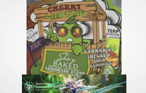 Alert - Notification of Multiple Voluntary Recalls May 9, 2025 ...."edible products due to labeling that is attractive to children"